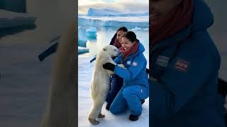 🐻‍❄️ Tiny Polar Bear's Heartwarming Rescue! 😍 #PolarBearRescue #WildlifeConservation #ArcticAnimals