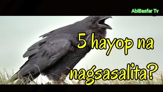 5 hayop na nagsasalita? Panoorin..