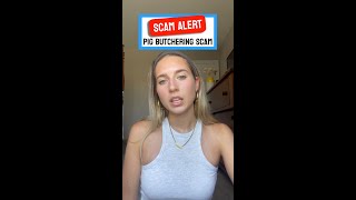 ⚠️SCAM ALERT⚠️ PIG BUTCHERING SCAM 🐖🐷🔪 #scam #scamalert #safety #womenssafety #numlookup #staysafe