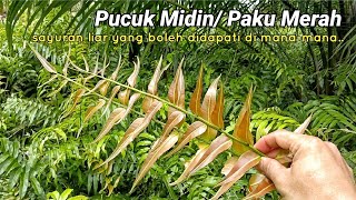 Survival tak semestinya di hutan. Hujung bulan pun survival juga.