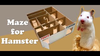 Maze for Hamster / лабиринт для хомяка /ЛАБИРИНТ ИЗ КАРТОНА ДЛЯ ХОМЯКА 🐹 DIY / TaronAren