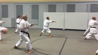 Shihan Toshiatsu Sasaki 2015 Training - Kanku-Sho 2