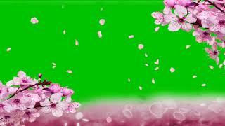 CHERRY BLOSSOMS GREEN SCREEN EFFECT| #greenscreen#trending  #green_screen_effects