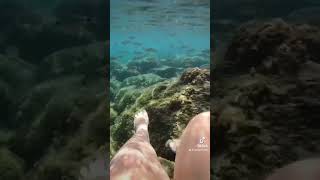 In fondo al mar 🎵🐠 #sea #shortvideo #siciliabedda #sicily #mare #mondello #snorkeling #goproit