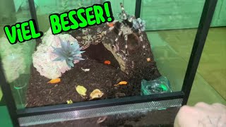 Terrarium renovieren! (Eine Ruine wird zu einem schönen Zuhause!)