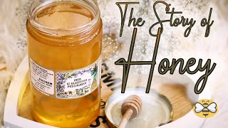 The Story of Honey | OPG SMJESKA 2022