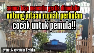 semua bisa mencoba gratis dimodalin untung jutaan rupiah perbulan cocok untuk pemula!!