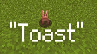 Naming A Minecraft Rabbit Toast. #shorts