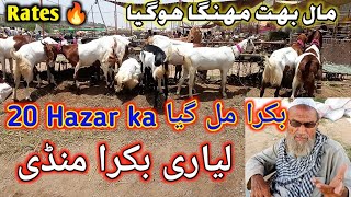 Liyari Bakra Mandi  Latest Rates update 4-june-23 | Liyari Bakra Mandi Karachi Cattle Rates update