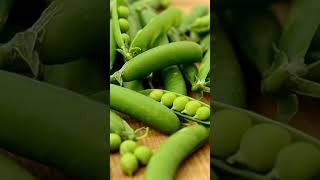 Edamame a hrášek na úponky #zahrada #zahradnizachranari #garden #edamame #hrach #rada #seeds