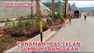 IKN HARI INI !! tanaman hias sepanjang jalan sumbu kebangsaan sisi timur di ibu kota nusantara