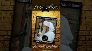 Hazrat Maulana Salahuddin Saifi Naqshbandi/اپنے آپ کو گناہوں سے کیسے بچائیں