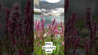 Beautiful Flowers of Skardu #lake #foryou #viral #fb #reels #trending #fifa #cr7 #messy #ronaldo #