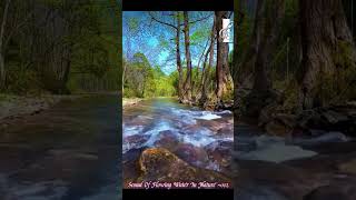 Sound Of Flowing Water In Nature ~002 #relaxing #calm #meditation #sleep #nature