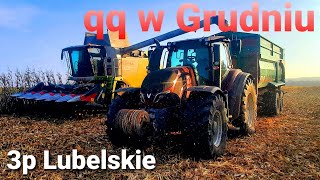 Koszenie qq na ziarno Grudzień  2020!!! Claas Lexsion 660 🔥Renault Ares 🔥 2xValtra🔥Zetor