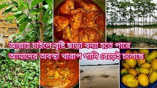 শুক্রবারে স্পেশাল রোস্ট পোলাও রান্না করলাম ও কাঠাল বিচি দিয়ে শুটকি শিরা Home village bloge