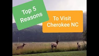 Top 5 reasons to visit Cherokee NC