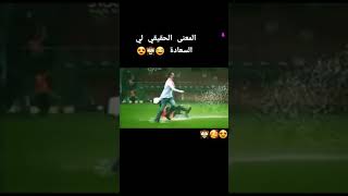 💁‍♂️💪💪💪💪🇩🇿🇩🇿