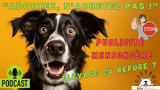 Adopter un chien en refuge ou en élevage ?