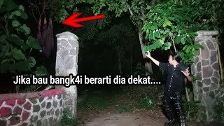 🔴KUNTILANAK PENUNGGU KERIS TUA....BAU NYA TIDAK ENAK