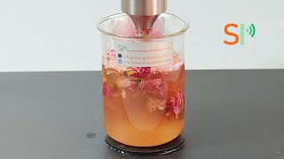 How to get a high concentration of essential oils by ultrasonic extraction?