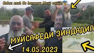 #хабарnews 😱Бобои Канд Бо дахонаш🐟 Мохи капид😱 Кати Мохиё Оббози Кард анаи Ира Шердили Меган!Ахсан!!