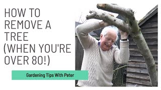 How to Remove a Tree (When you're over 80!) | Garden Ideas | Peter Seabrook