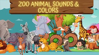 Zoo Animal Sounds & Colors for Kids | Fun Learning Song for Toddlers and Preschoolers!