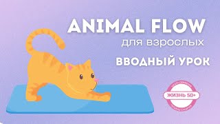 Энимал Флоу для возраста 40+ / Animal Flow