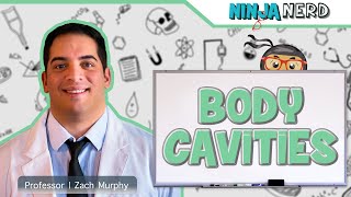 Body Cavities & Serosal Membranes