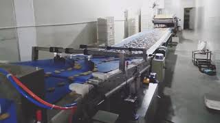 Biscuits flow packaging machine