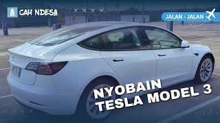 Nyewa Mobil Tesla Pakai Aplikasi TURO + Mini Review Tesla Model 3