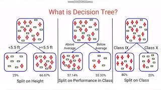 Introduction to Decision Tree