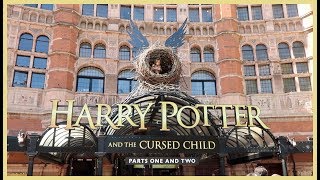 Harry Potter and the Cursed Child!