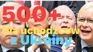 500+ dla uchodźców z Ukrainy / druga linia frontu w Polsce