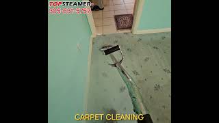 Reviving a Dirty Green Carpet: Satisfying Deep Cleaning in South Miami