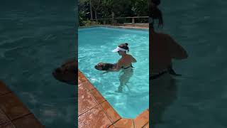 Primeiro dia de banho na piscina com BAGUERRA