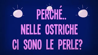 Perché nelle ostriche ci sono le perle?