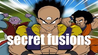 Secret Fusions In This Dragon Ball Z Game!