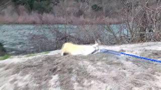 Nami playing with sand for the 1st time