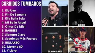 CORRIDOS TUMBADOS ~ Mix 2024 ~ Clásicos Imprescindibles