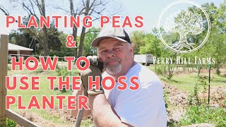 PLANTING PEAS and Some Hoss Planter Advice