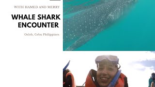 Hamed  in Oslob, Cebu || Whale Shark encounter ||with side trips