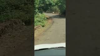 Beautiful road| Ratnagiri district of Maharashtra