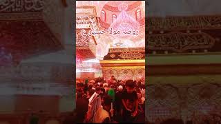 Mola Imam Hussain shrine #karbala #waqiaekarbala #history #arbaeen #2024