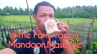 @The Farm Tagpu, Mandaon,Masbate