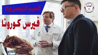 مايفعله فيرس كورونا للانسان الوقاية خير من العلاج(احذر من الخفاش)