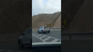 Drive Along  #shorts #viral #oman #dubai #mocktales #vlogs #Drive #roads