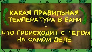 🔥Какая ПРАВИЛЬНАЯ ТЕМПЕРАТУРА в бане /  Что ПРОИСХОДИТ с телом НА САМОМ ДЕЛЕ 🔥