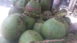 A very Amazing Coconut Cutting Skills II Bangladeshi Street Food